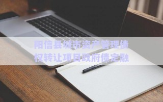陽(yáng)信縣城市資產(chǎn)管理債權(quán)轉(zhuǎn)讓項(xiàng)目政府債定融