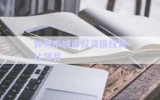 林州市城市投資債權(quán)轉(zhuǎn)讓項(xiàng)目