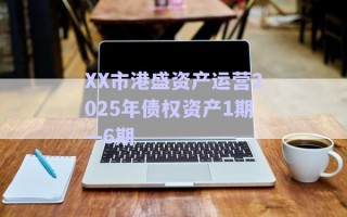 XX市港盛資產(chǎn)運(yùn)營(yíng)2025年債權(quán)資產(chǎn)1期—6期