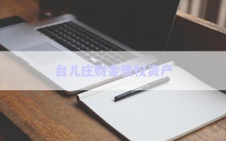 臺兒莊財金債權(quán)資產(chǎn)