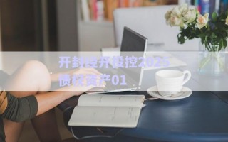 開(kāi)封經(jīng)開(kāi)投控2025債權(quán)資產(chǎn)01