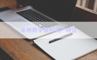 牟州數(shù)字債權資產(chǎn)轉讓