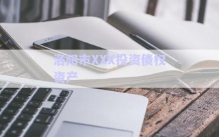洛陽市XXX投資債權資產