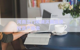 河南三門峽湖濱國投債權(quán)資產(chǎn)拍賣