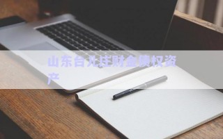 山東臺兒莊財(cái)金債權(quán)資產(chǎn)