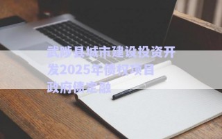 武陟縣城市建設(shè)投資開發(fā)2025年債權(quán)項(xiàng)目政府債定融