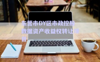 東營(yíng)市DY區(qū)市政控股數(shù)據(jù)資產(chǎn)收益權(quán)轉(zhuǎn)讓項(xiàng)目