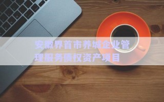 安徽界首市養(yǎng)城企業(yè)管理服務(wù)債權(quán)資產(chǎn)項(xiàng)目