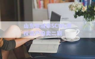 山東鄒城市SCWL債權(quán)資產(chǎn)拍賣二期