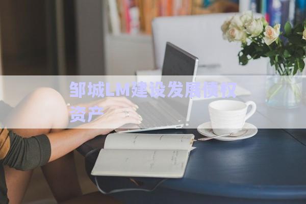 鄒城LM建設發(fā)展債權(quán)資產(chǎn)-第1張圖片-政信固收網(wǎng)