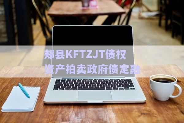 郟縣KFTZJT債權資產拍賣政府債定融-第1張圖片-政信固收網