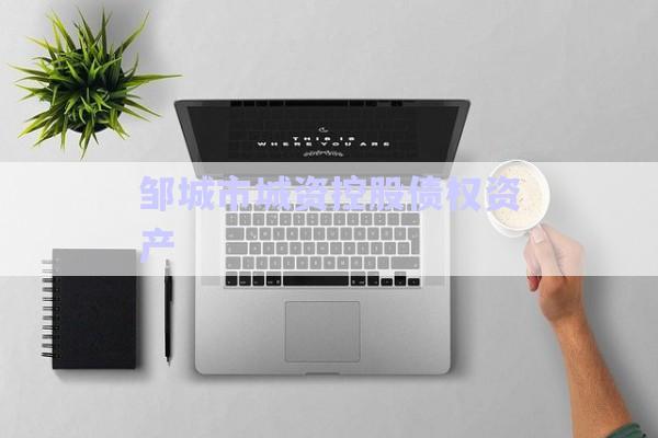 鄒城市城資控股債權資產-第1張圖片-政信固收網(wǎng)