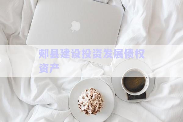 郟縣建設投資發(fā)展債權資產-第1張圖片-政信固收網