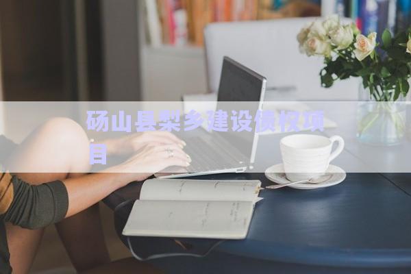 碭山縣梨鄉(xiāng)建設債權項目-第1張圖片-政信固收網