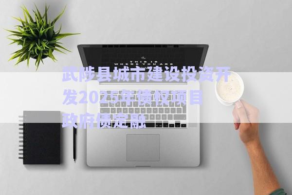 武陟縣城市建設(shè)投資開發(fā)2025年債權(quán)項目政府債定融-第1張圖片-政信固收網(wǎng)