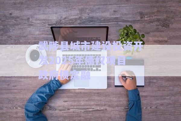 武陟縣城市建設(shè)投資開發(fā)2025年債權(quán)項目政府債定融-第1張圖片-政信固收網(wǎng)